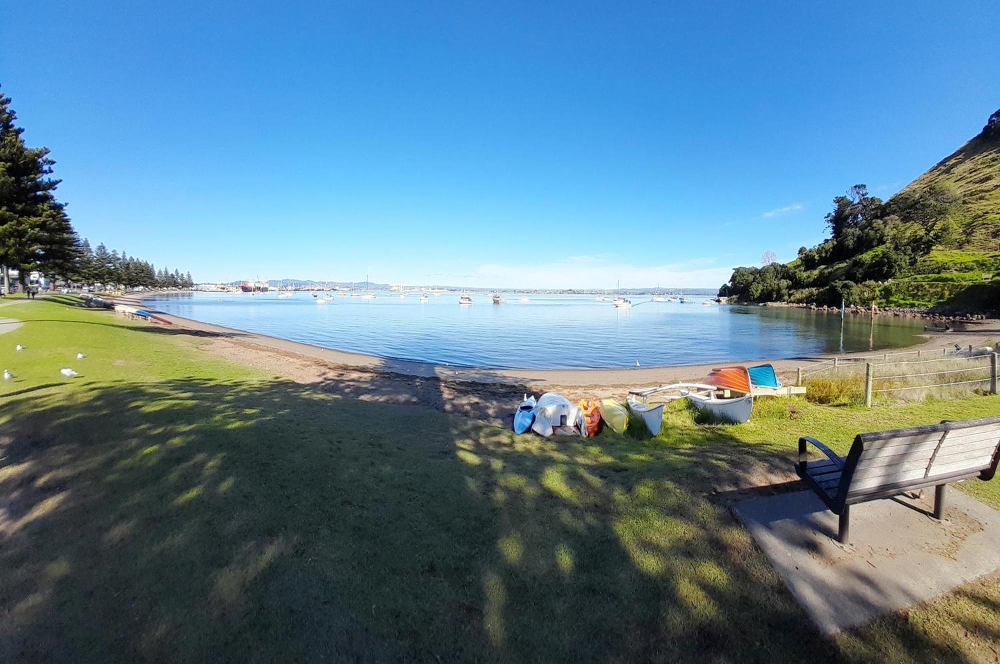 Seascape 5* Tauranga